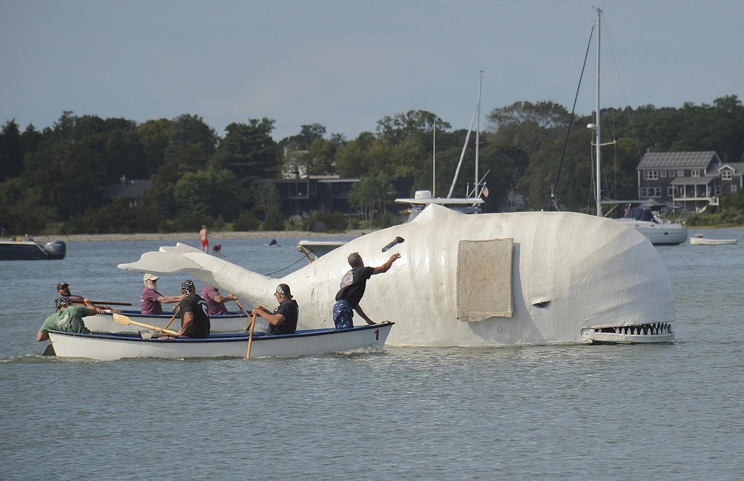 The whaleboat races on Saturday. KYRIL BROMLEY