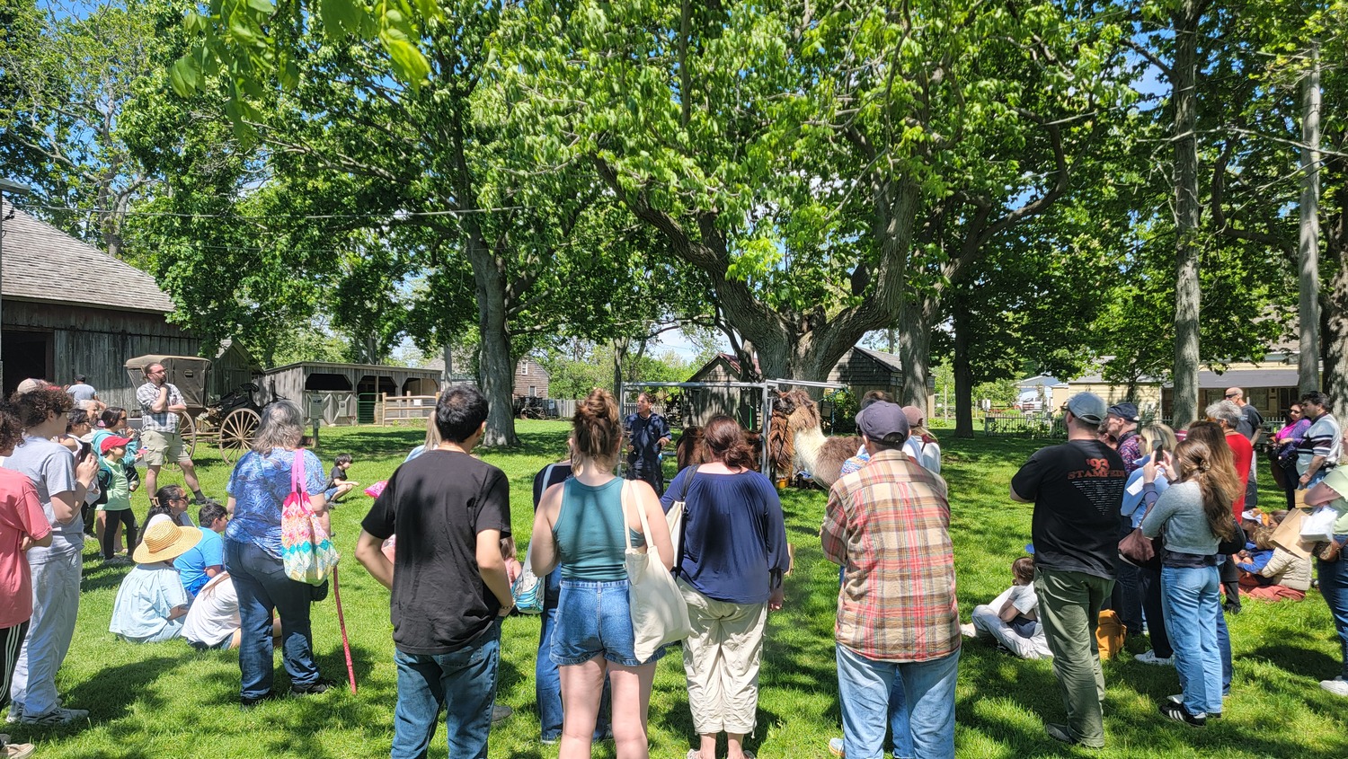 The Fleece and Fiber Festival. Courtesy photo