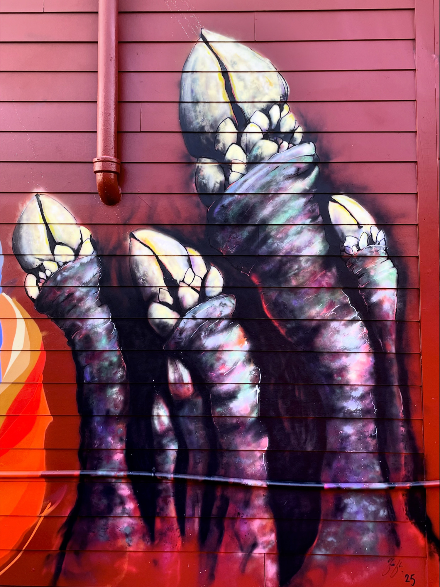 A recent spray paint mural of Gooseneck Barnacles by Christopher Pfeifle for the Georgetown Carnaval in Seattle. COURTESY CHRISTOPHER PFEIFLE