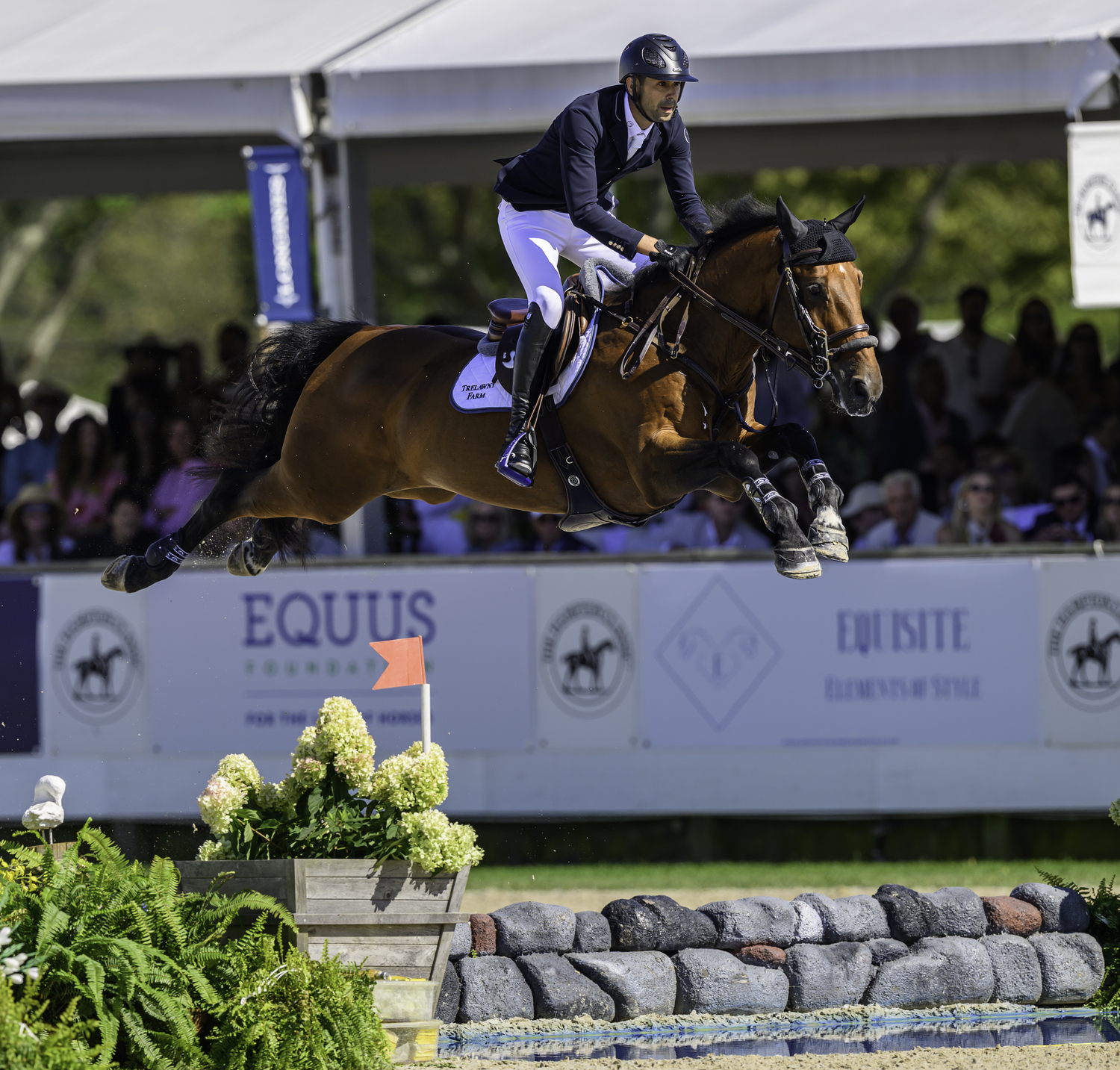 Nayel Nasser on Little Magic D'Asschaut on his way to a great round before an unfortunate dismount.  MARIANNE BARNETT