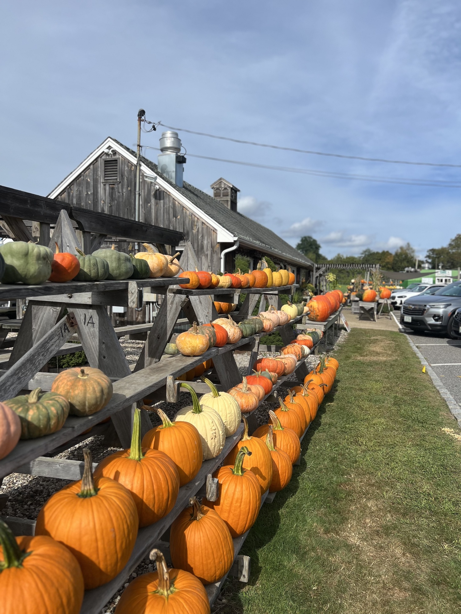 Pumpkin season is in full swing at The Milk Pail. ROBYN HENDERSON-DIEDERIKS