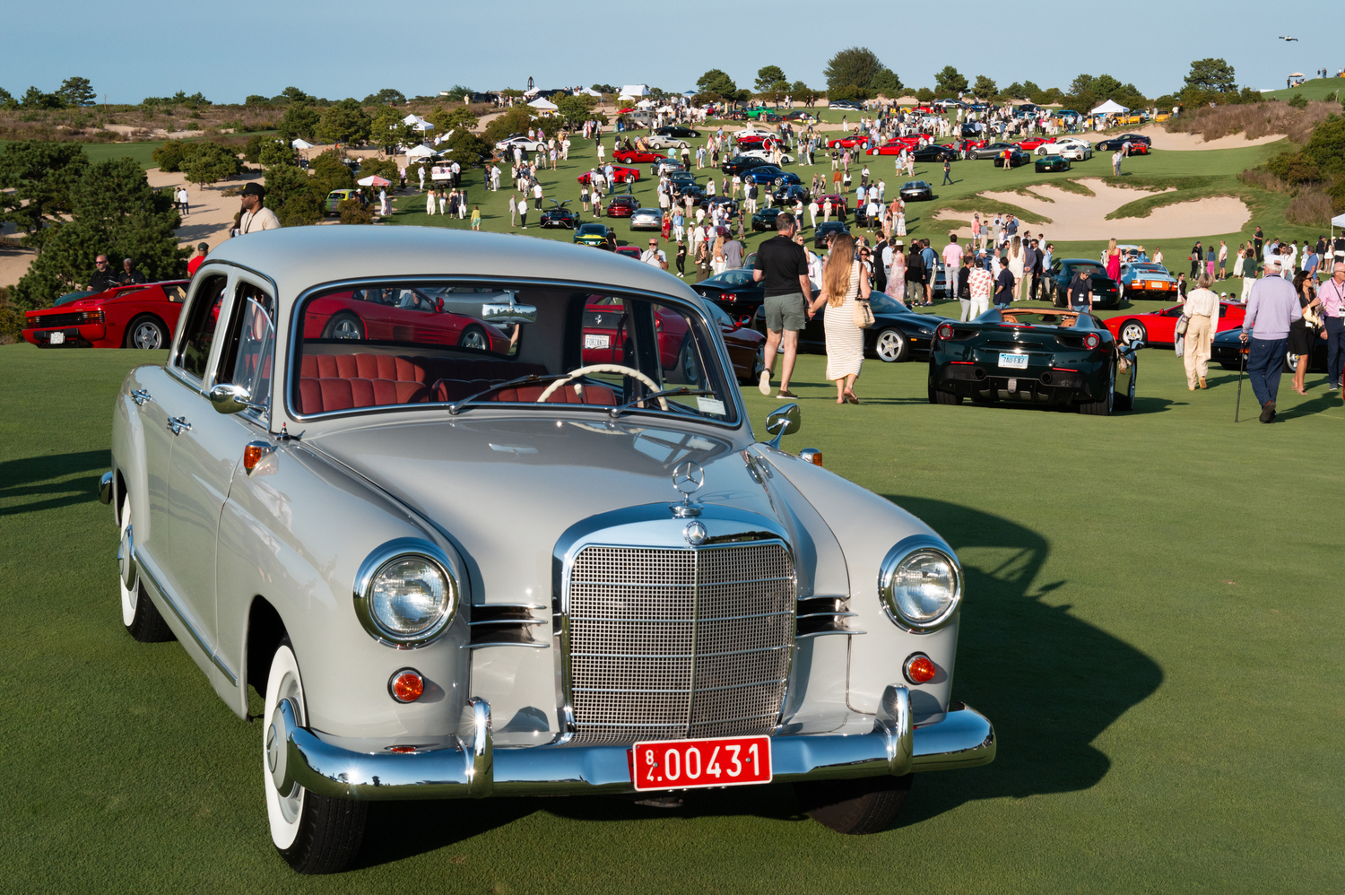 A modest Mercedes Benz 190 with dozens of exotic cars displayed behind it. LORI HAWKINS PHOTOS