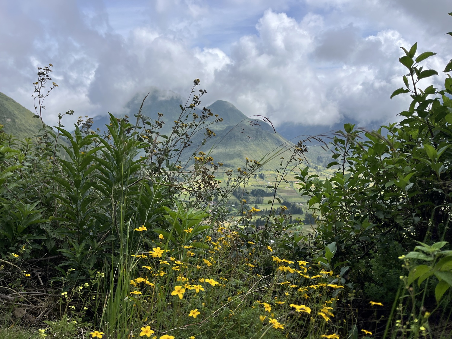 Scenes from Ecuador. COURTESY JUDI LACH VEECK