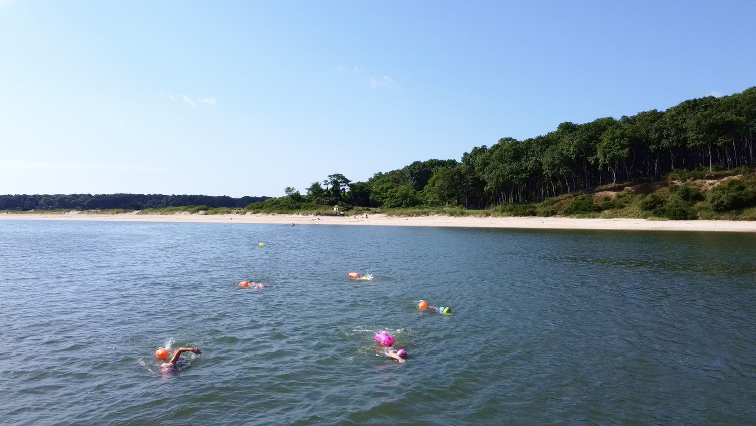 The swimmers in the group vary in terms of ability level but are committed to getting together on a regular basis, both for the exercise and the camaraderie, and the sense of peace they feel when they're out in the water. HONORA CAMPBELL