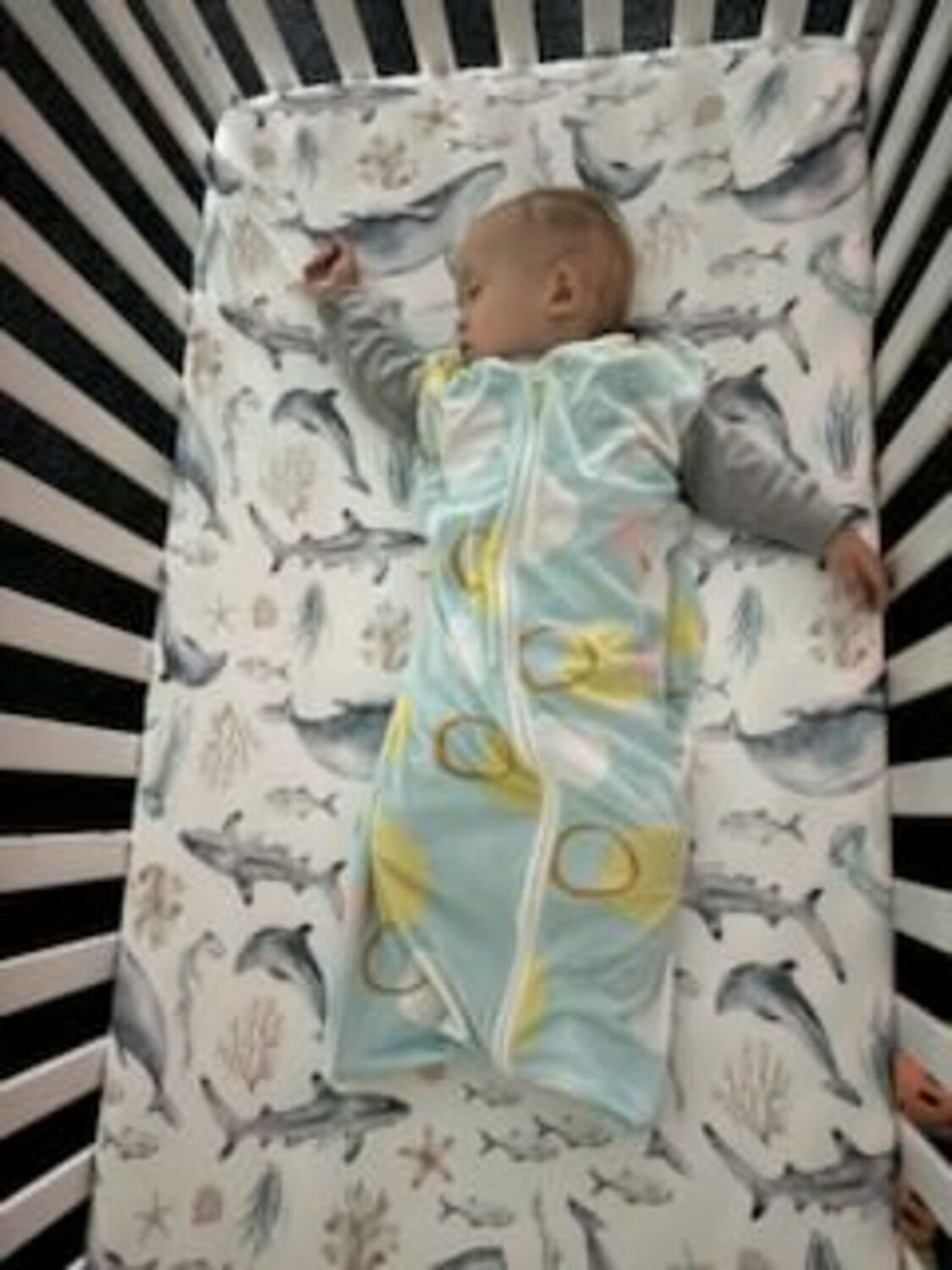 The Eleanor Whitmore Early Childhood Center welcomed its first round of babies to its infant program on September 15. The inaugural class has eight infants. The program is the first in the center's 56-year history. COURTESY ELEANOR WHITMORE CENTER