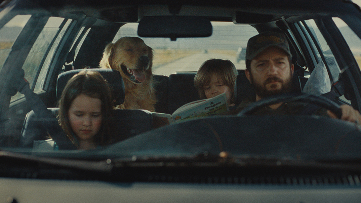 In Cole Webley's film 
