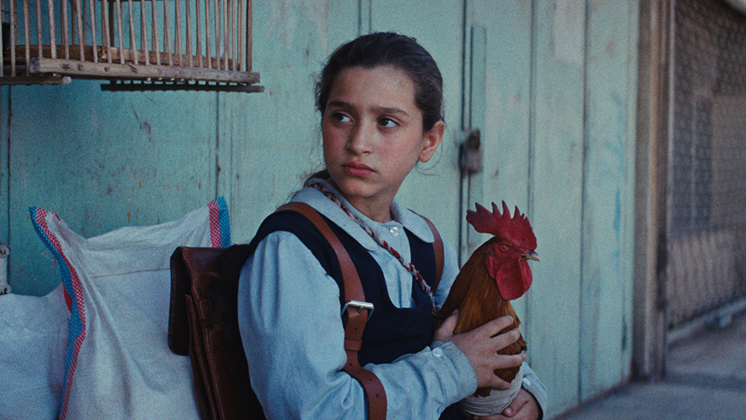 Set in 1990s Iraq, Hasan Hadi’s film 