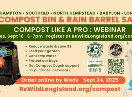 Compost Like a Pro: Webinar