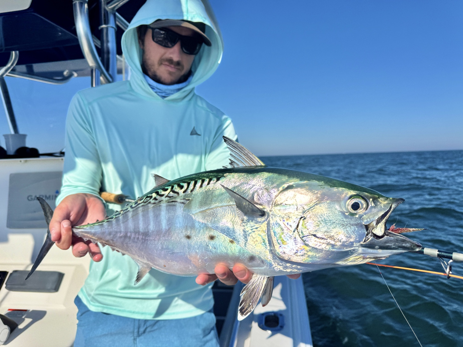 Tim Regan and a fat false albacore caught off Montauk on fly.