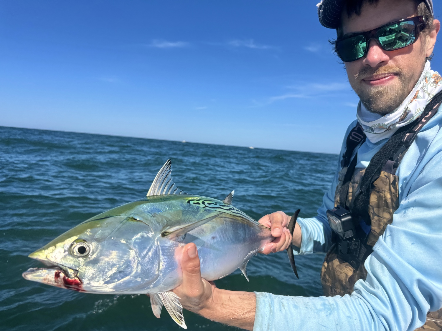 Hampton Bays fly tier Mike Ozayka with a false albacore that fell for one of his imitations. COURTESY OF @LIFLIESMIKE
