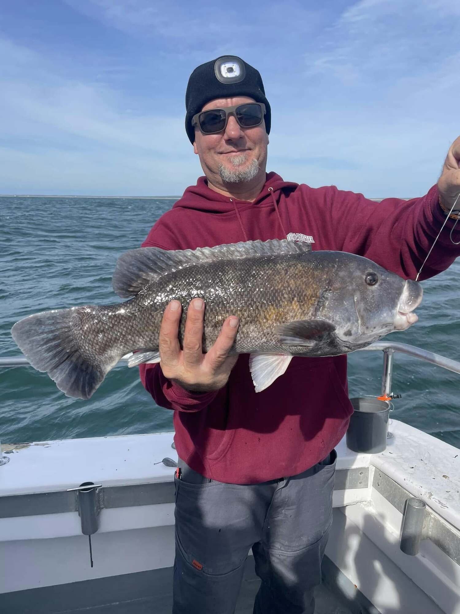Blackfish are on the menu aboard the Hampton Lady party boat, which is sailing from Hampton Bays daily on all-day tog trips this month. COURTESY HAMPTON LADY FISHING