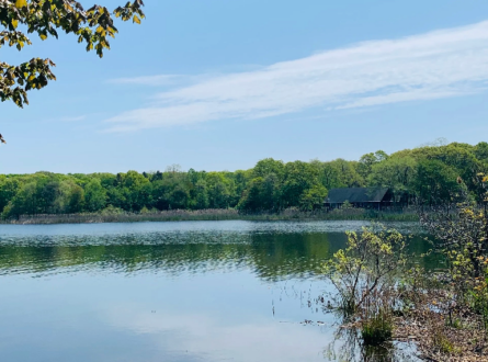Great Pond Cleanup (Southold)