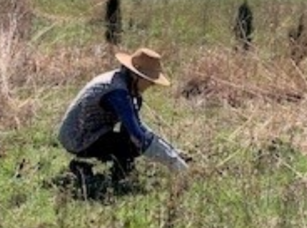 Friends of the Long Pond Greenbelt: Adopt a Patch Work Session