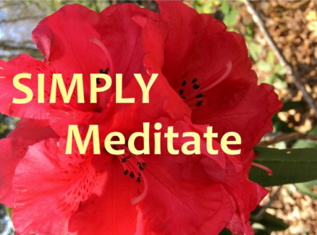 SIMPLY Meditate