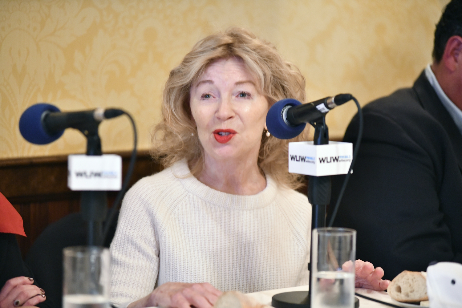 Panelist April Gornik.  DANA SHAW