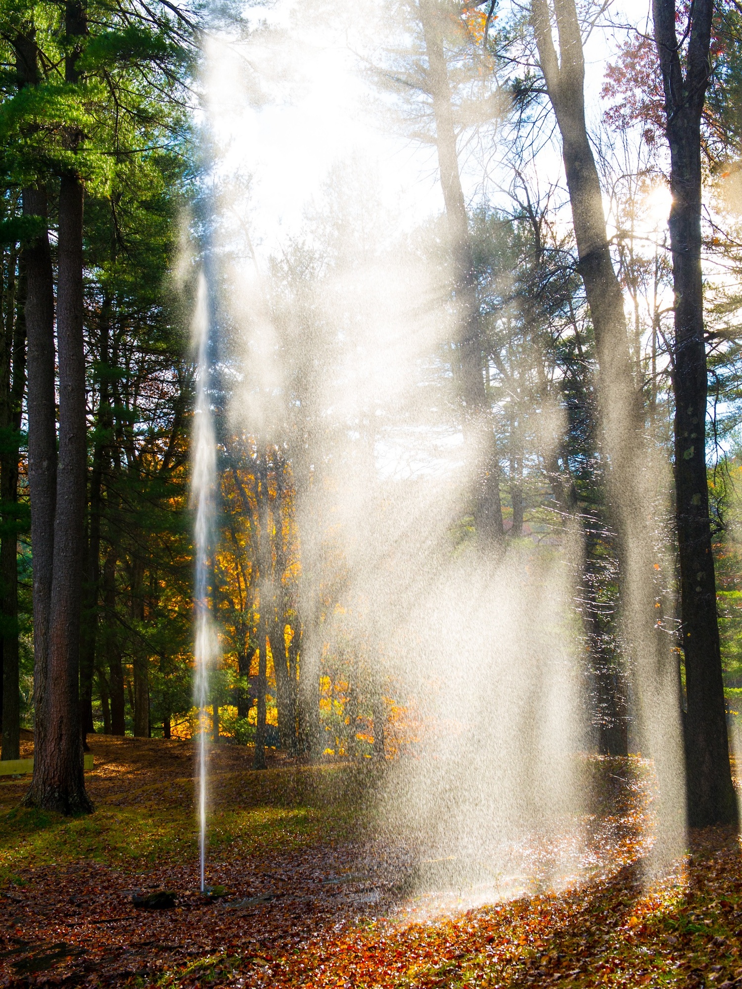 A fountain jet of water catches the light on Pine Island at Innisfree Garden. OLIVER COLLINS