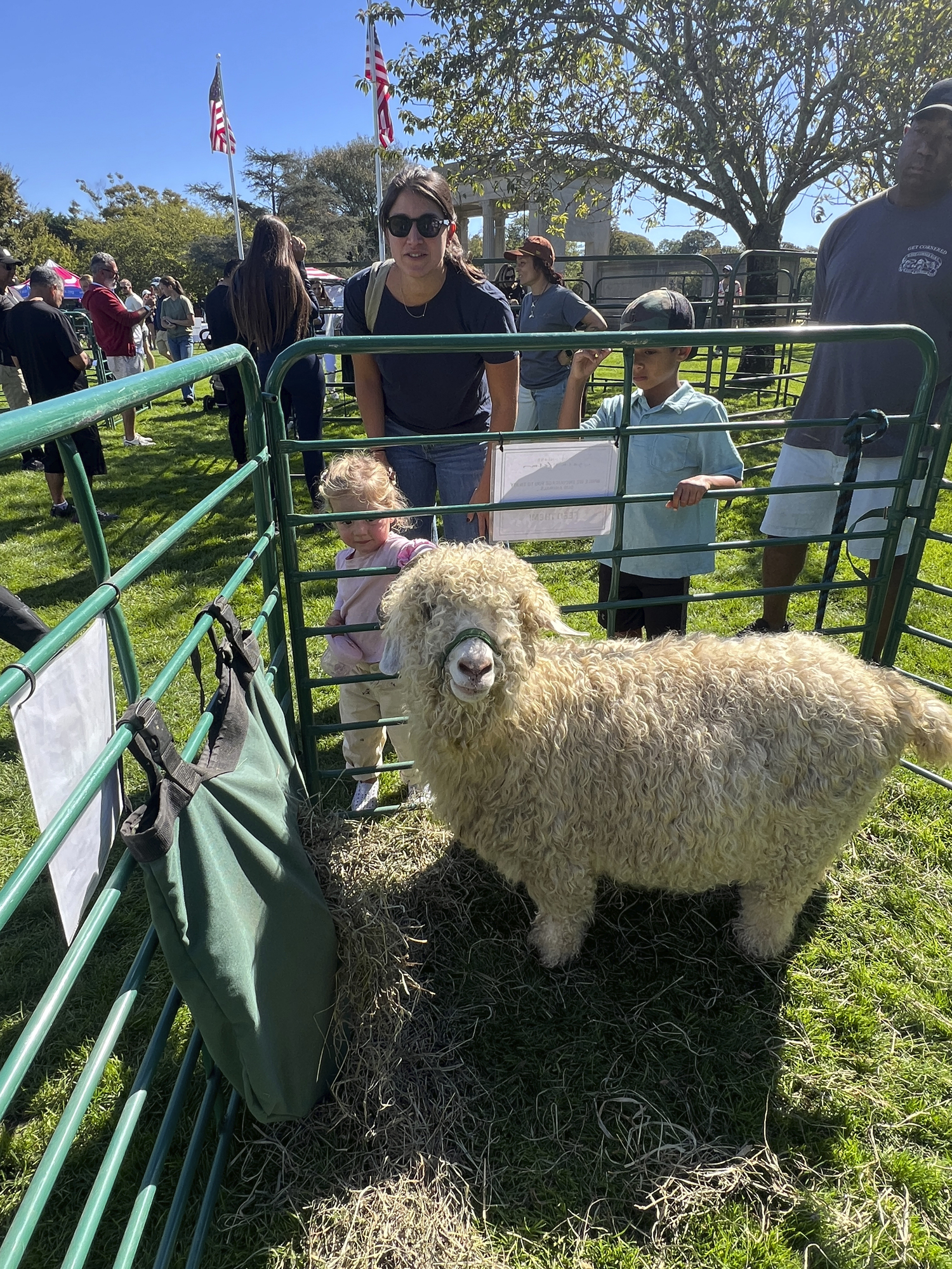 Kids check out the petting zoo in Agawam Park on Saturday.