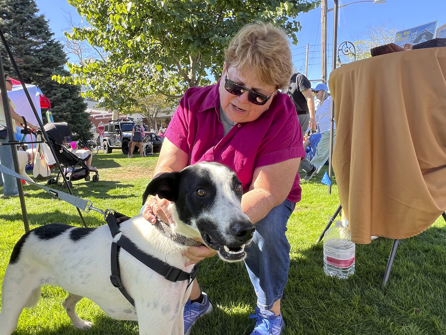 Rev. Joanne Utley of the Hamptons United Methodist Church blesses Albert at Southamptonfest on Saturday.