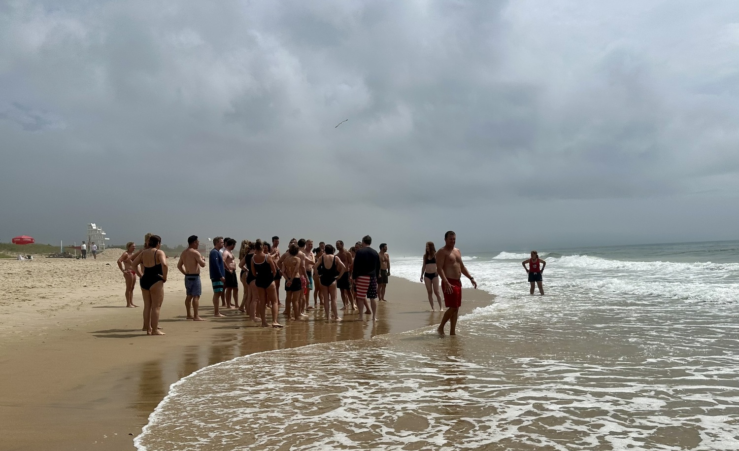 The Guardians courses are for adults looking to learn the basics of the ocean.  NICHOLAS SOPKIN