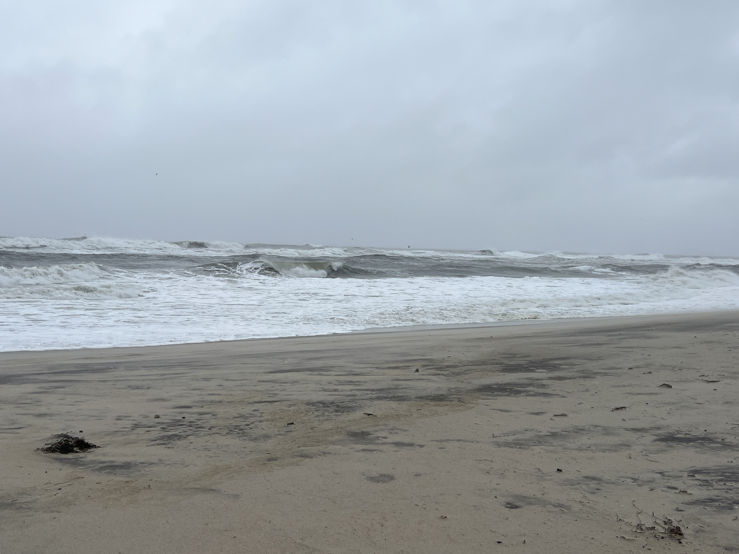 Little Plains Beach in Southampton Village on Monday.  DANA SHAW