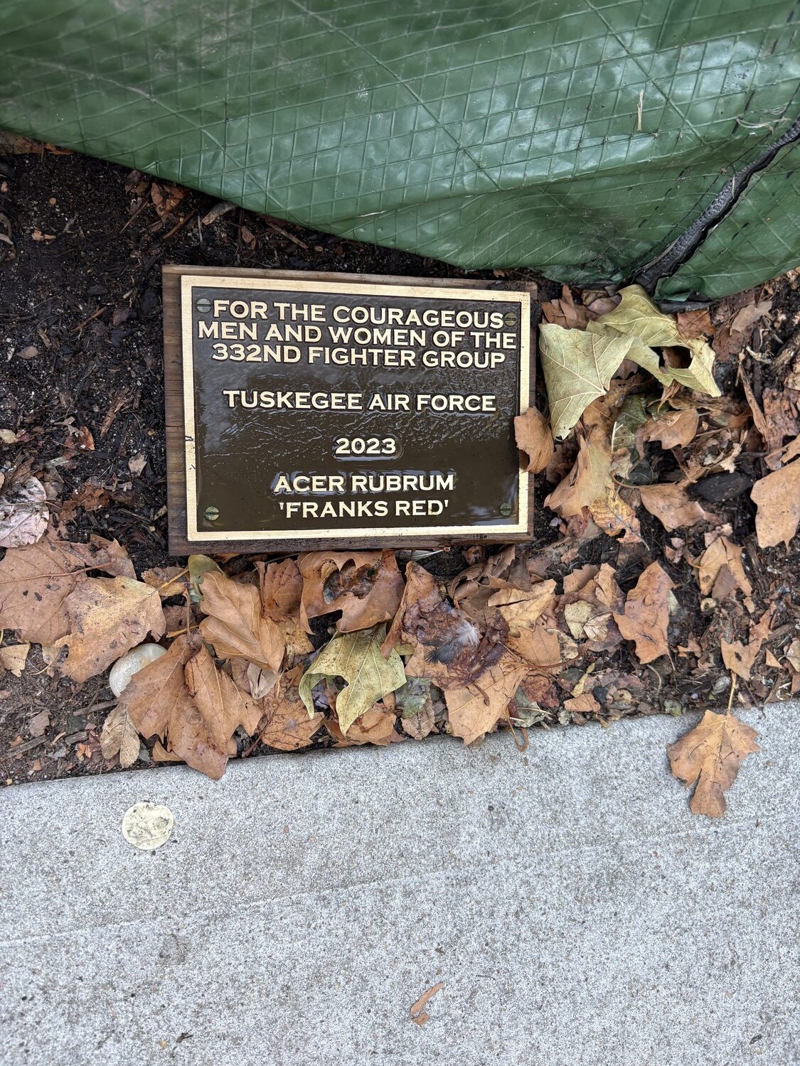 Sag Harbor residents gathered for a small ceremony on Main Street on Sunday to honor the memory of Sag Harbor residents who had served as Tuskegee Airmen, the unit that had the first pilots of color to serve in the U.S. military. Descendants of those veterans honored them as a ceremony dedicating a small tree on Main Street to them. CAILIN RILEY