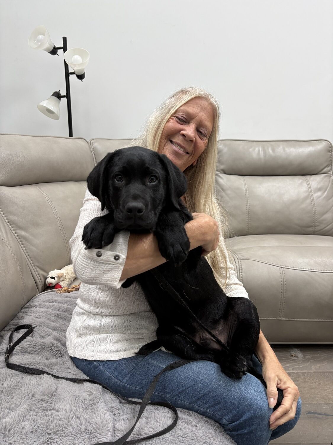 Hampton Bays resident Dorothy Marino is currently raising Jabba, a black lab puppy, for Canine Companions. After several weeks being raised by Marino, Jabba will move on to professional training as a service dog for the nationwide organization, which is currently seeking more volunteer puppy raisers. CAILIN RILEY