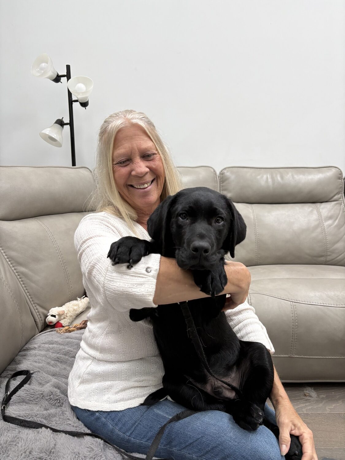 Hampton Bays resident Dorothy Marino is currently raising Jabba, a black lab puppy, for Canine Companions. After several weeks being raised by Marino, Jabba will move on to professional training as a service dog for the nationwide organization, which is currently seeking more volunteer puppy raisers. CAILIN RILEY