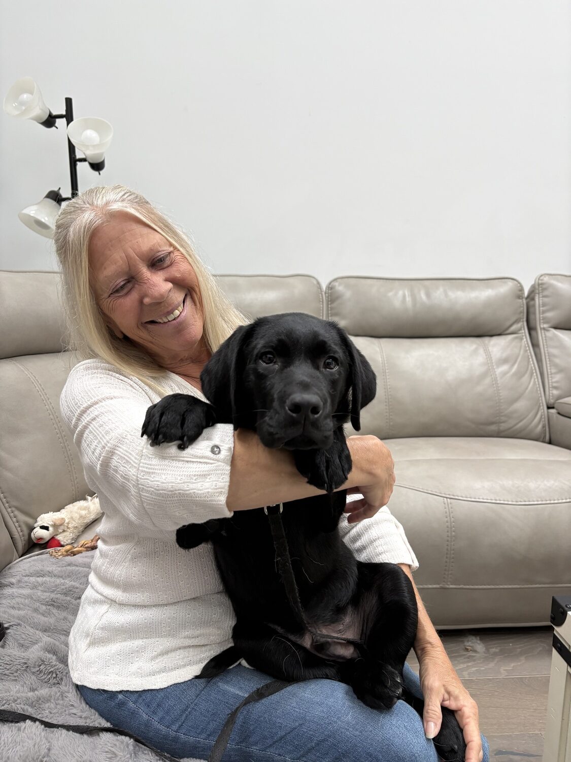 Hampton Bays resident Dorothy Marino is currently raising Jabba, a black lab puppy, for Canine Companions. After several weeks being raised by Marino, Jabba will move on to professional training as a service dog for the nationwide organization, which is currently seeking more volunteer puppy raisers. CAILIN RILEY