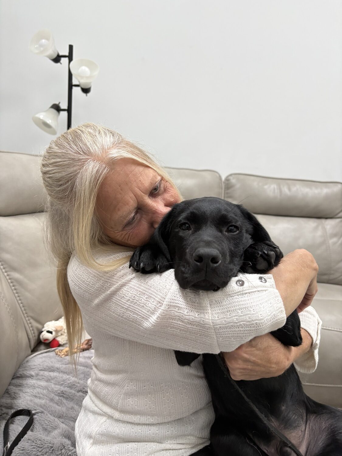 Hampton Bays resident Dorothy Marino is currently raising Jabba, a black lab puppy, for Canine Companions. After several weeks being raised by Marino, Jabba will move on to professional training as a service dog for the nationwide organization, which is currently seeking more volunteer puppy raisers. CAILIN RILEY