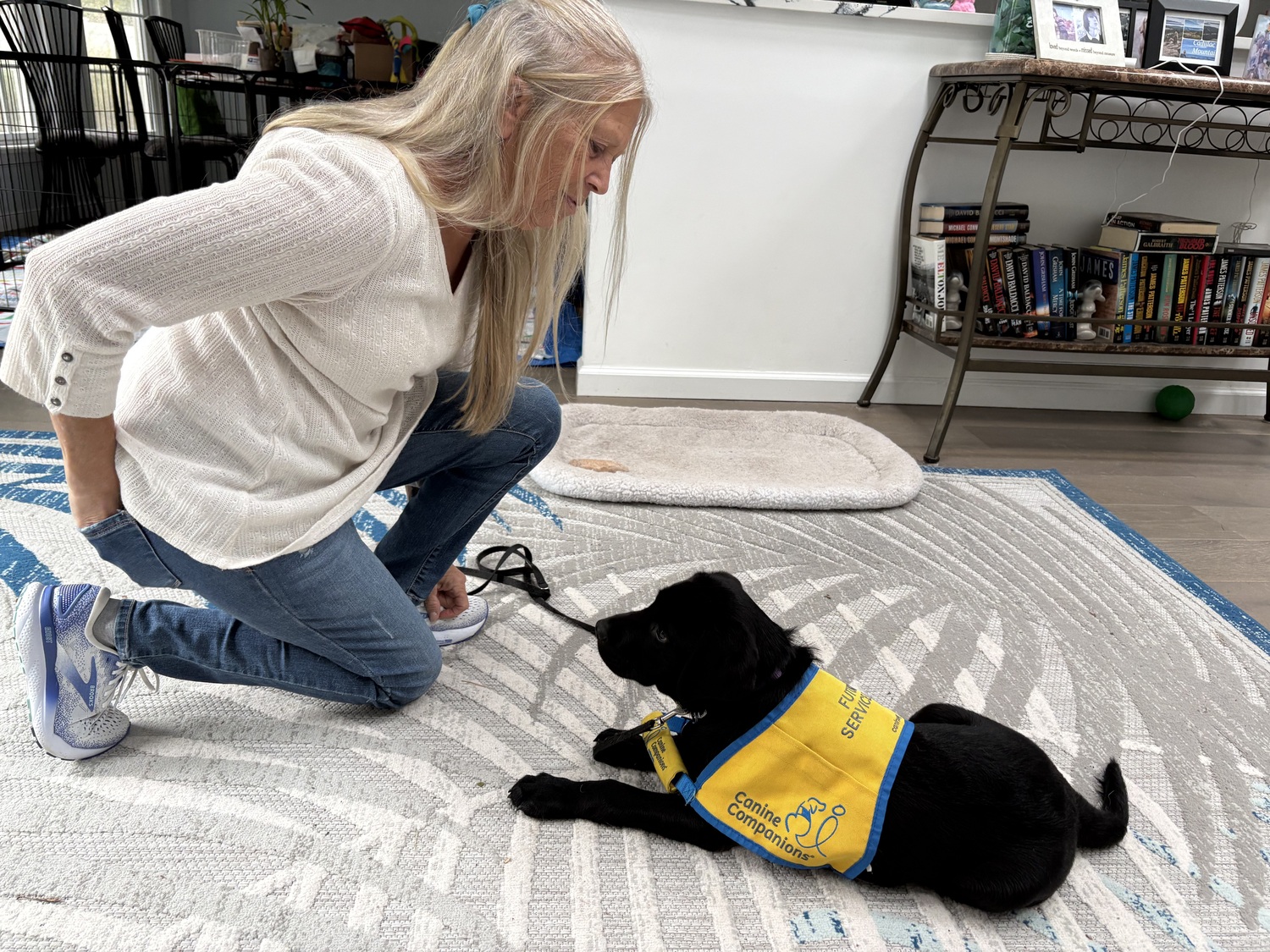 Hampton Bays resident Dorothy Marino is currently raising Jabba, a black lab puppy, for Canine Companions. After several weeks being raised by Marino, Jabba will move on to professional training as a service dog for the nationwide organization, which is currently seeking more volunteer puppy raisers. Basic obedience training is part of the job of a puppy raiser. CAILIN RILEY