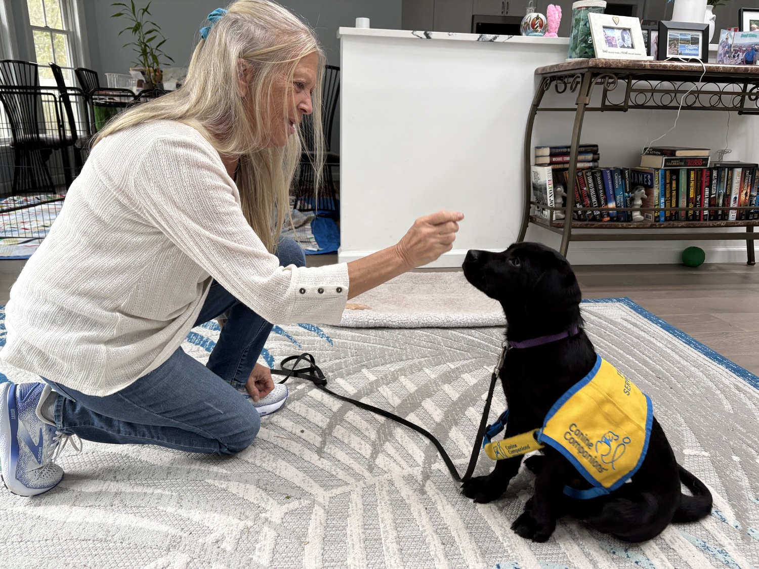 Hampton Bays resident Dorothy Marino is currently raising Jabba, a black lab puppy, for Canine Companions. After several weeks being raised by Marino, Jabba will move on to professional training as a service dog for the nationwide organization, which is currently seeking more volunteer puppy raisers. Basic obedience training is part of the job of a puppy raiser. CAILIN RILEY