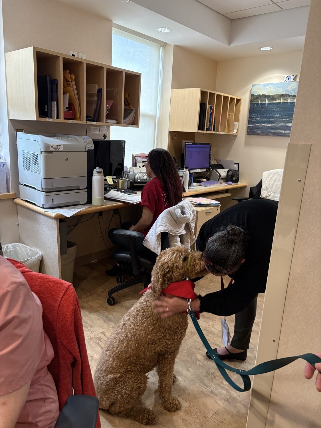 Cooper, an 8-year-old Golden Doodle, is part of the pet therapy program at Stony Brook Southampton Hospital. He not only visits patients, but is a bright spot in the day for many of the hospital workers. CAILIN RILEY