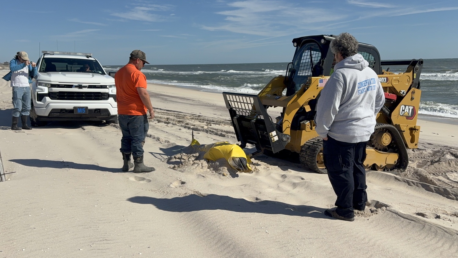 A female common dolphin washed up on the beach in Quogue, in distress, and ultimately died. Volunteers with the Atlantic Marine Conservation Society came to pick up the dolphin, with the help of Quogue Village workers, who assisted with a forklift. The Atlantic Marine Conservation Society will perform a necropsy to determine the cause of death. CAILIN RILEY
