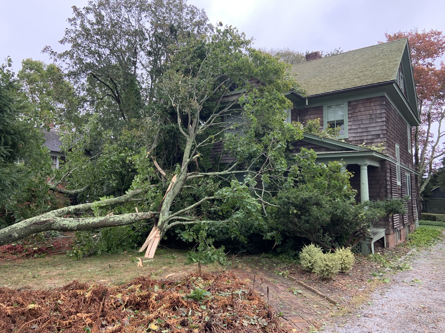 A tree fell on this house at 173 Maple Lane on Monday. STEPHEN J, KOTZ
