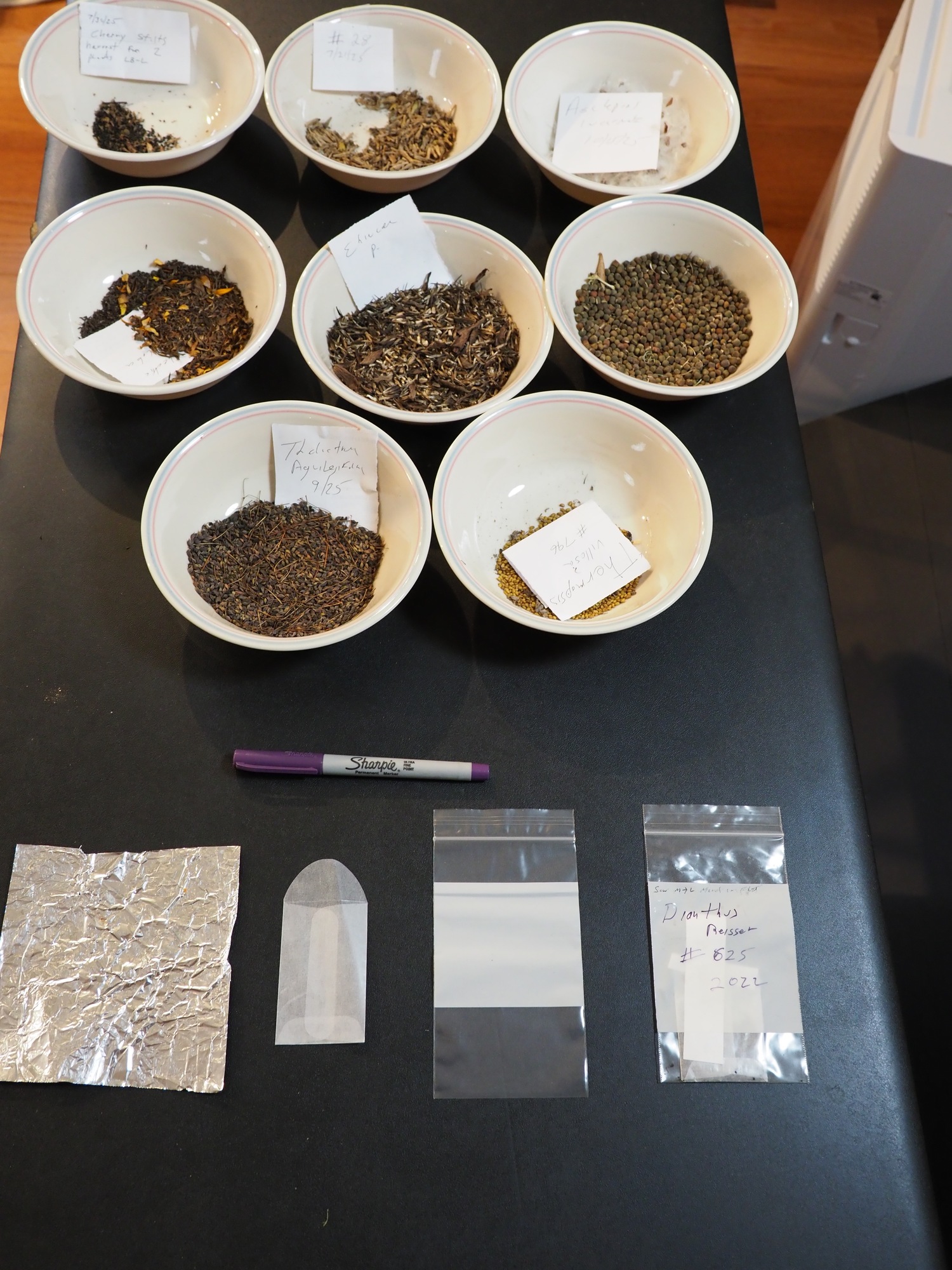 Tools of the trade, starting with eight bowls of dry seed from different plants with notes in each bowl. The seeds then go onto a foil square that’s made into an envelope. Some seed goes right into a glassine envelope (right), then into a plastic bag with a zip lock. Lastly, the seed in the foil or glassine envelope goes into the plastic bag. The plastic bag and envelope have the seed name, or ID number, as well as the date harvested. There is also a small paper note in the plastic bag with the same information. Use a Sharpie marker for all of the notes, as it’s waterproof and long lasting. Some years I’ve had more than 50 bags in a plastic box in the regenerator. ANDREW MESSINGER