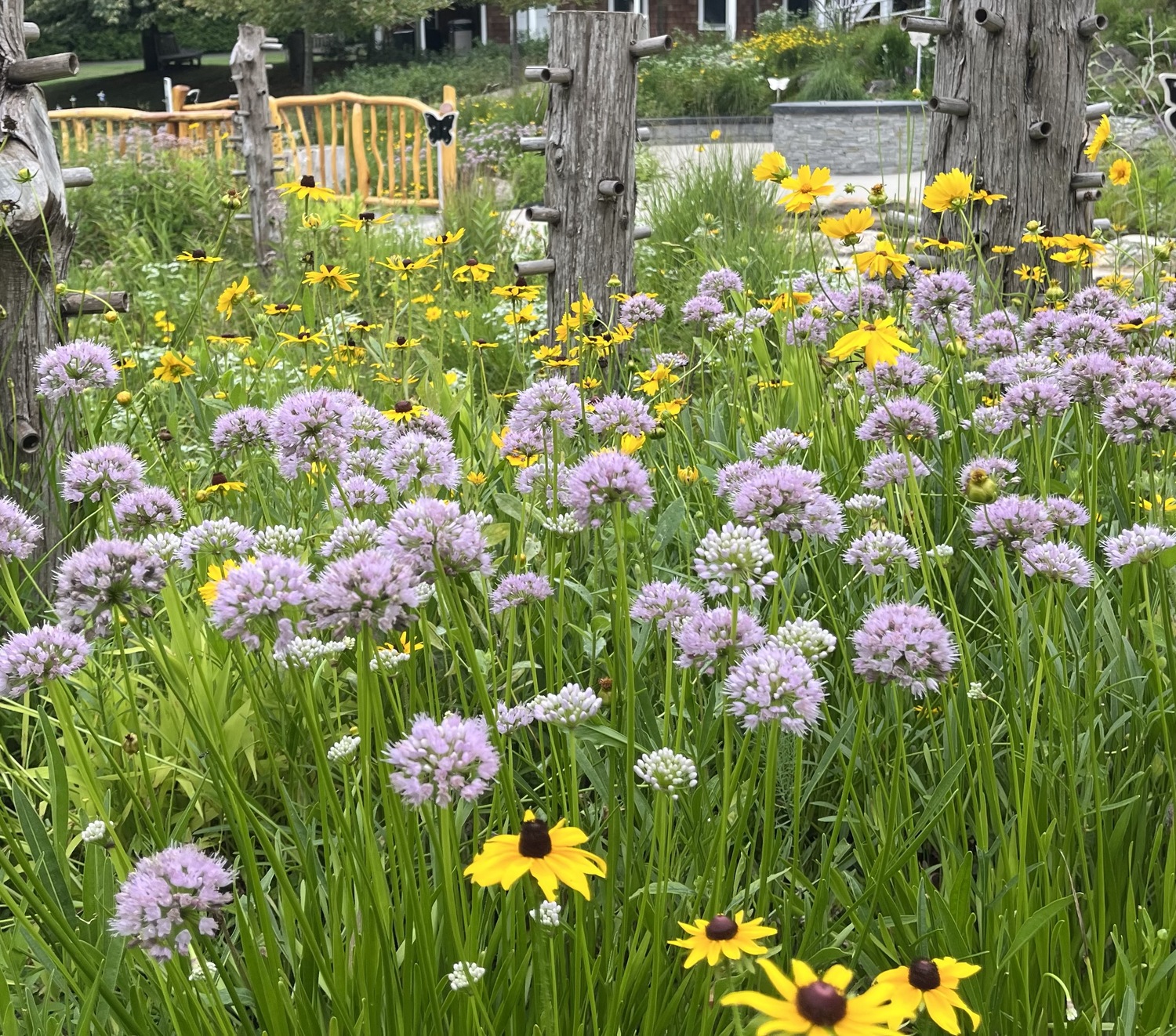 A rain garden for children at the Southampton Fresh Air Home, created by Mark Antilety. COURTESY MARK ANTILETY
