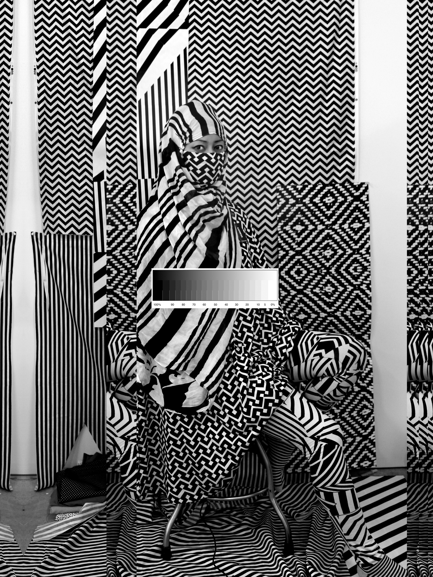 Stephanie Syjuco, 