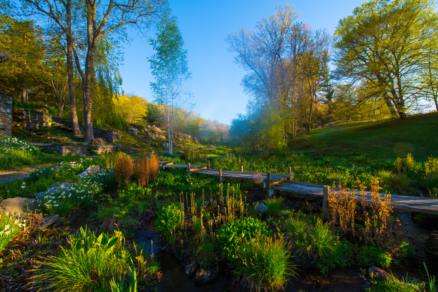 The Stepping Down Bridge passes through a bog area at Innisfree Garden. OLIVER COLLINS