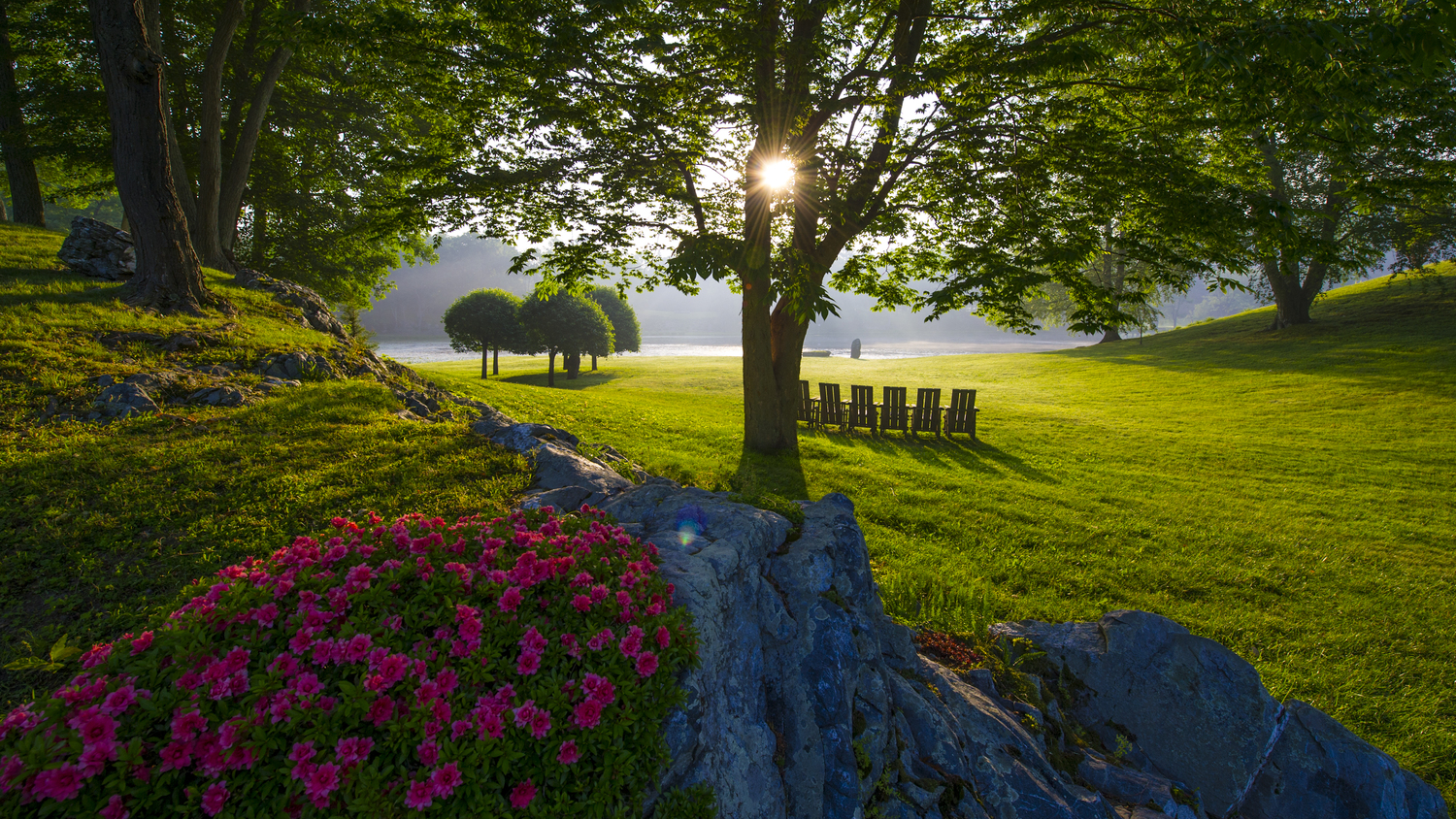 Sunrise in the Meadow at Innisfree Garden. OLIVER COLLINS