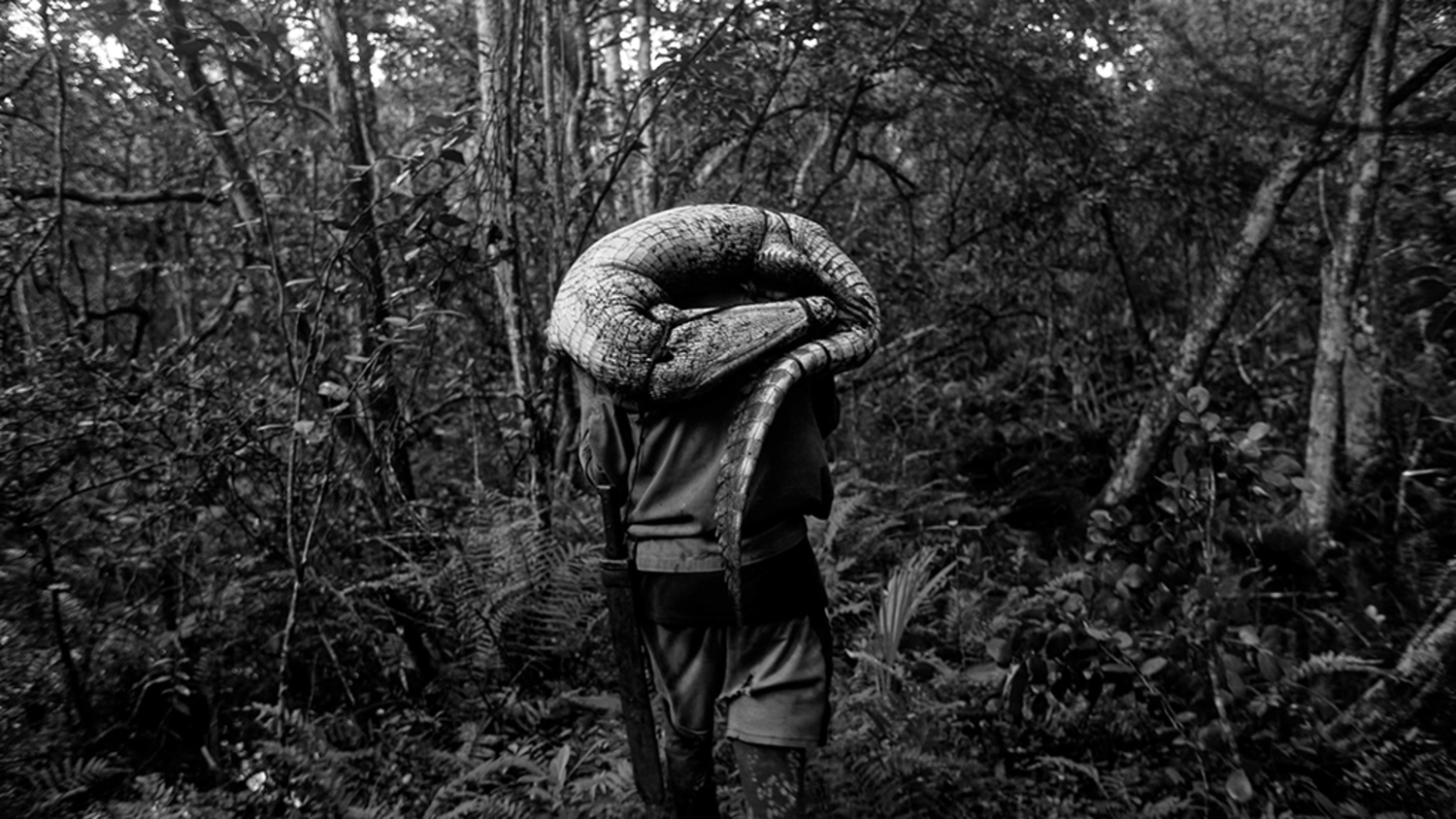 “To the West, in Zapata,” directed by David Bim, won Best Documentary Feature at HIFF, receiving a $2,500 cash prize and an in-kind production package valued at $50,000. COURTESY HIFF