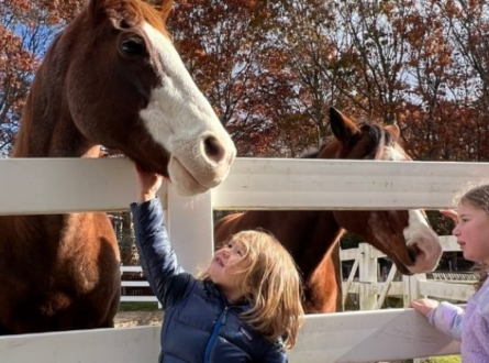 Holiday Camp at the Green School
