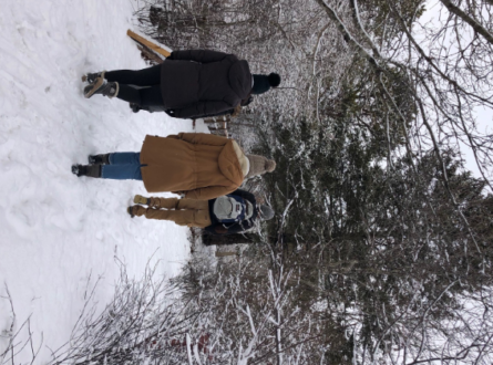 Pine Barrens Family Nature Hike