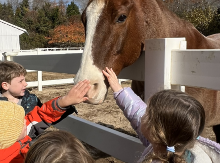 Holiday Farm Camp at the Green School