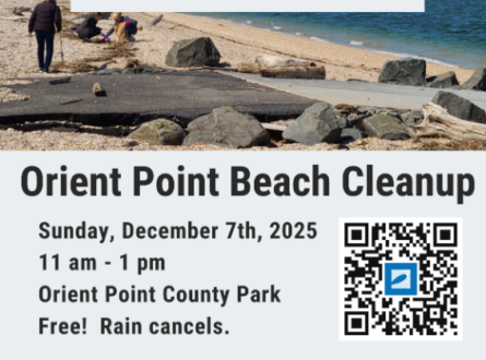 Orient County Park Beach Cleanup