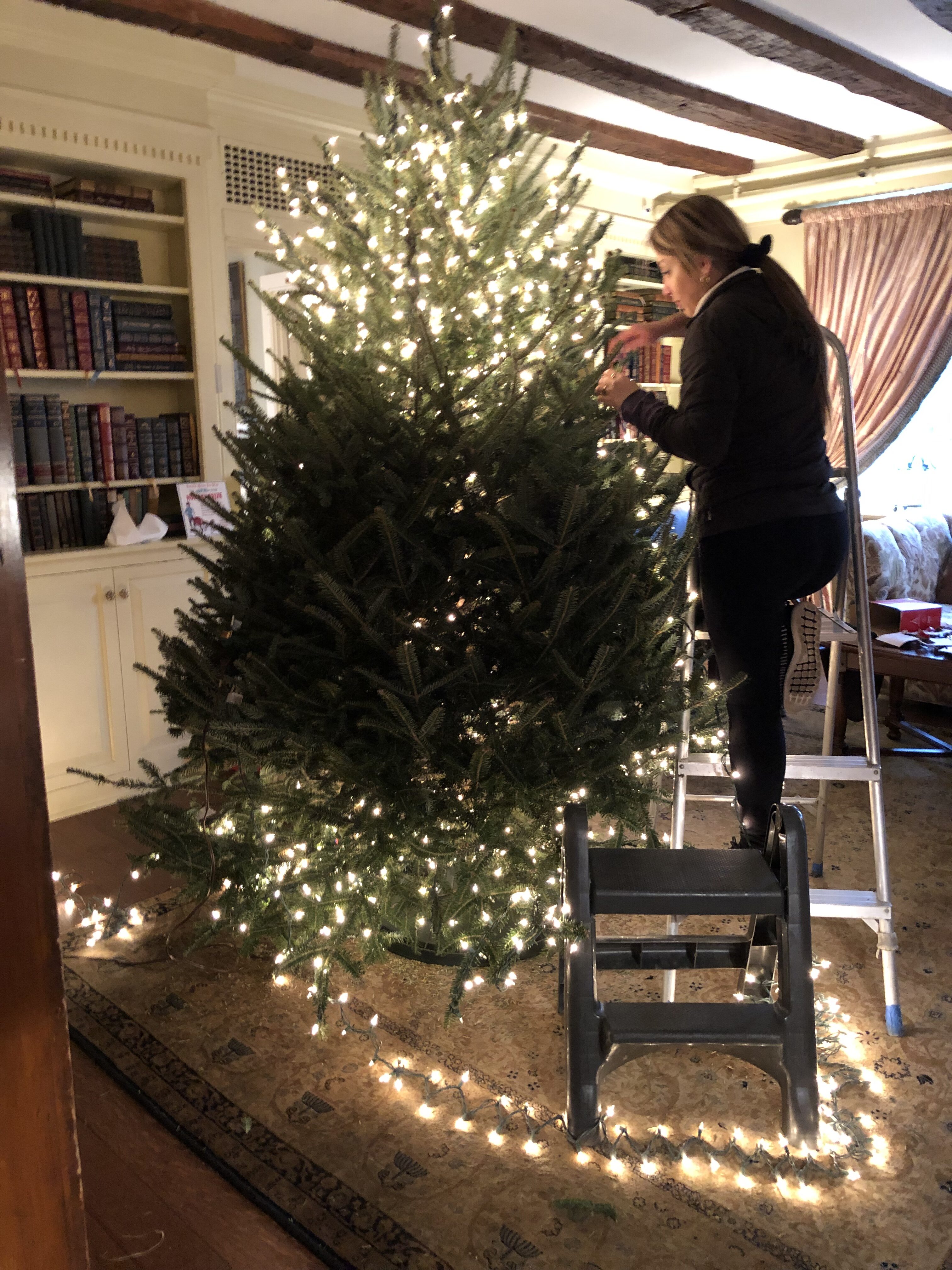 Marcella Giraldo decorating the Christmas tree at the 1770 House. CAROL COVELL