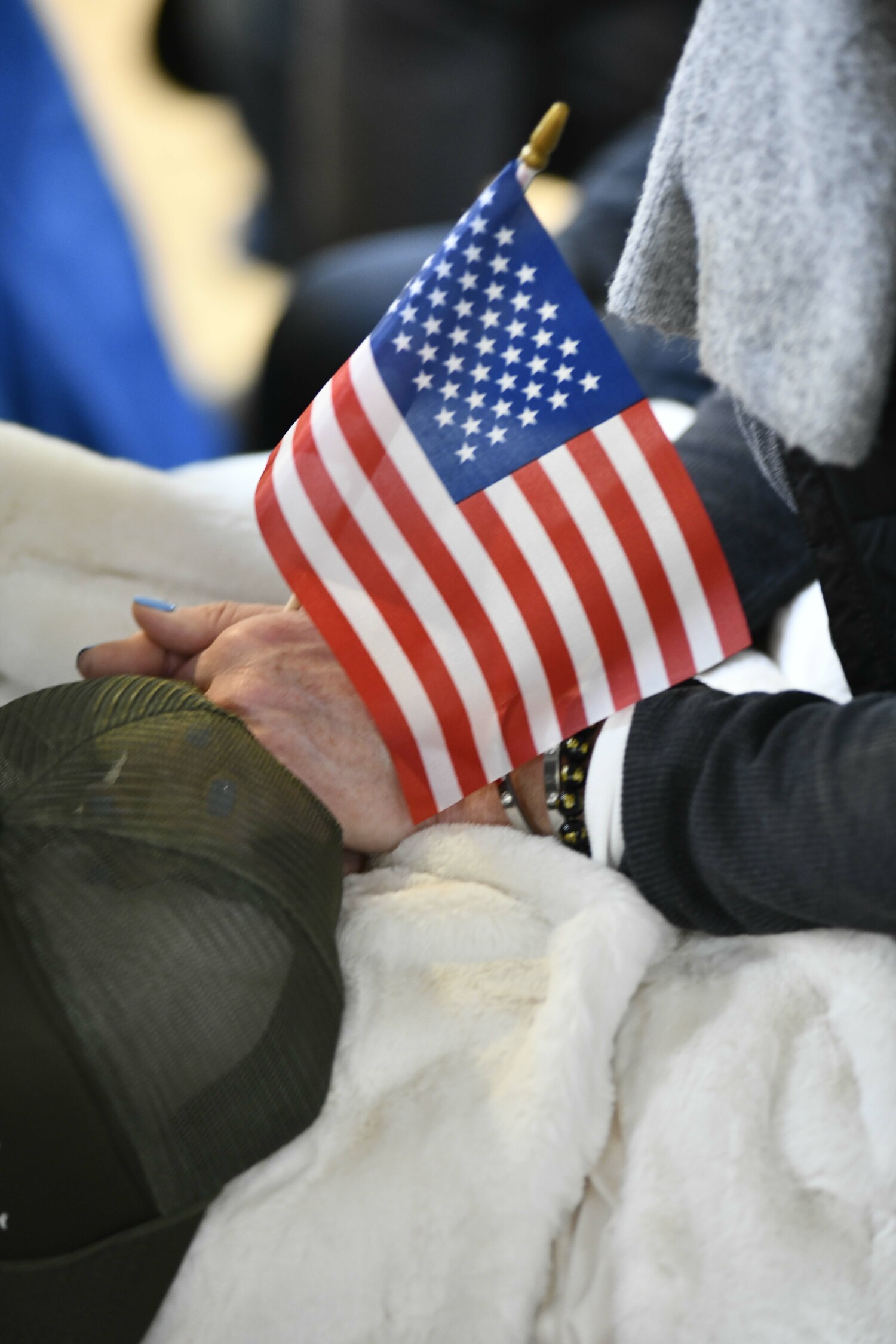 Veterans Day at Hampton Bays American Legion Hand Aldrich Post 924 on Tuesday.