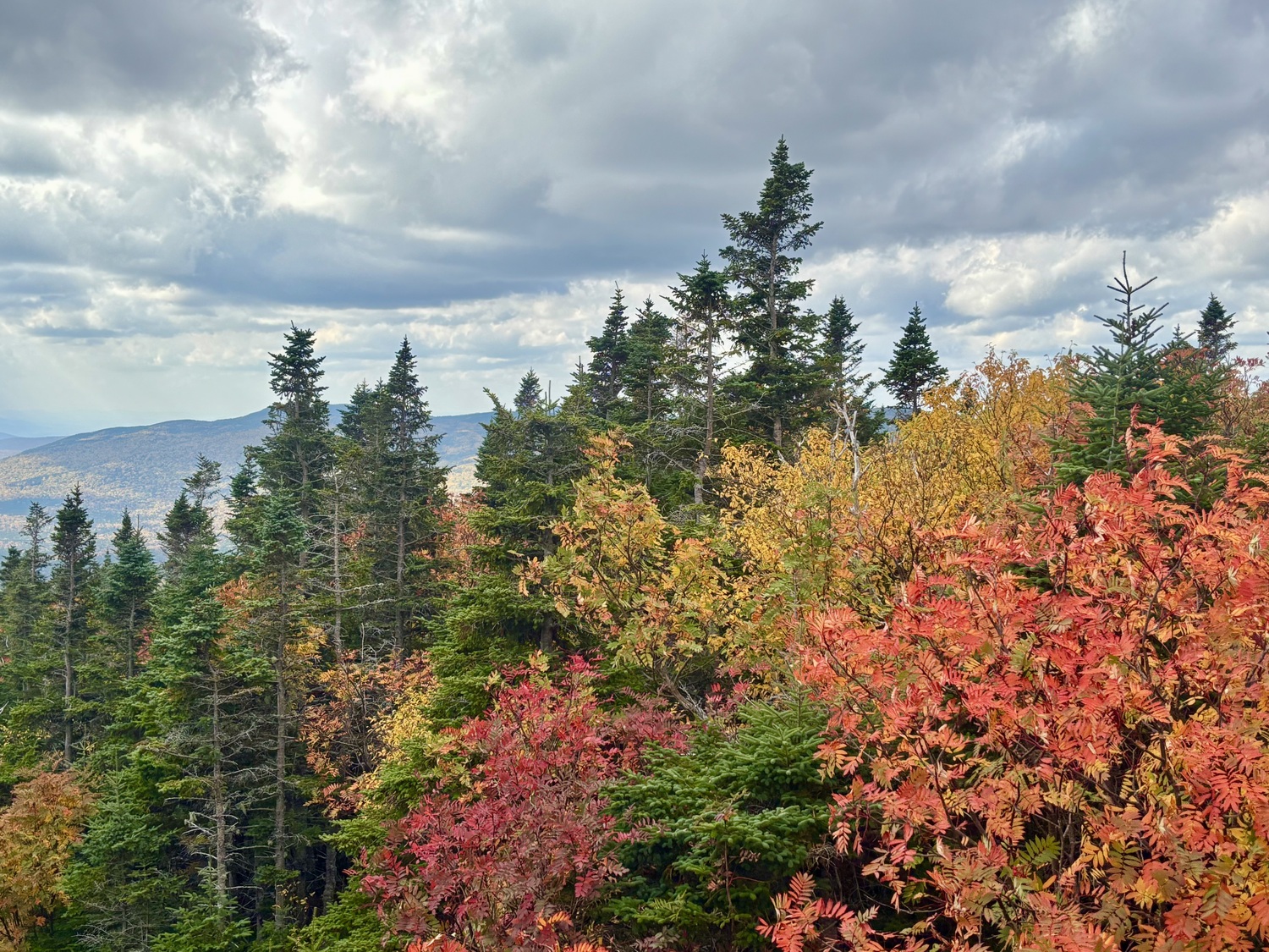 Travels With Hannah: Leaf Peeping, Ice Cream and Family Chaos in the White Mountains