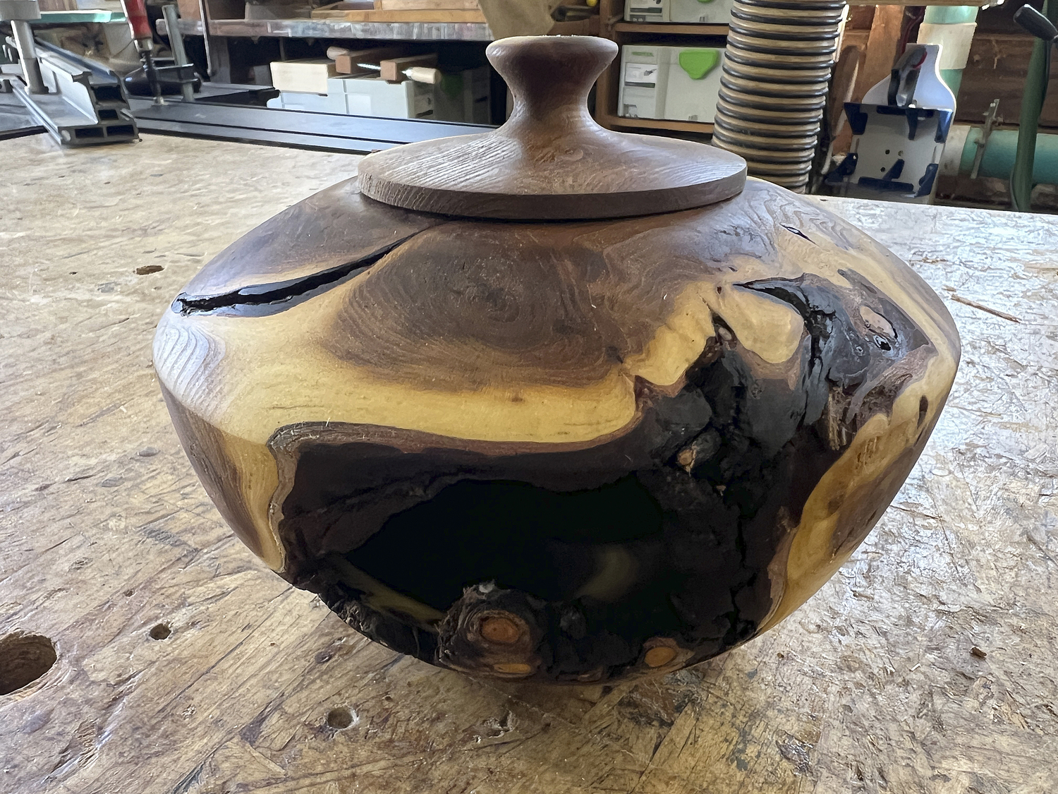 A unique woodturning creation, crafted from the burl of a tree. DANA SHAW