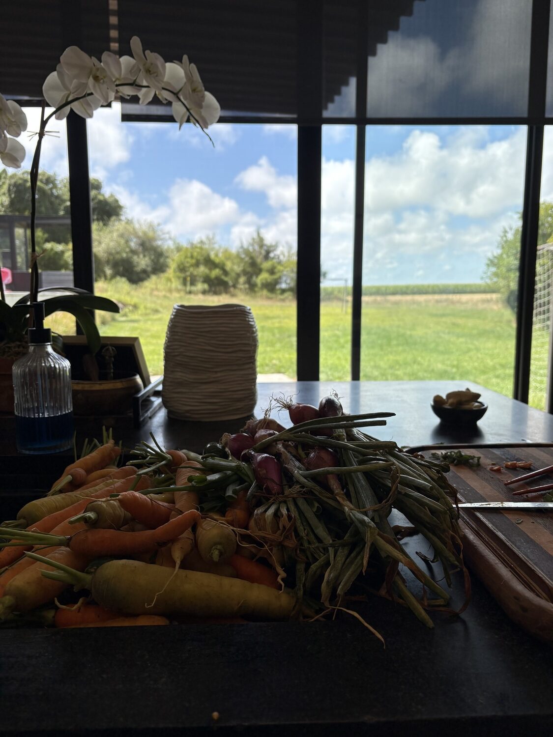The view of a farm field from Shelley Suh's kitchen.