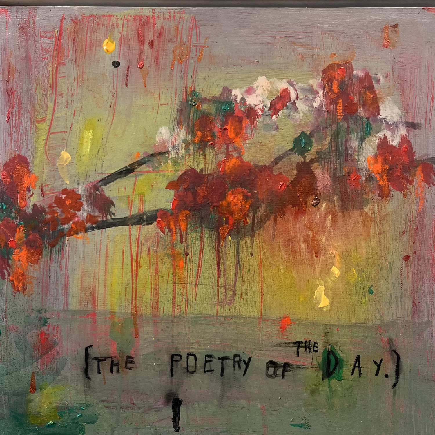 Stephanie Brody-Lederman, 